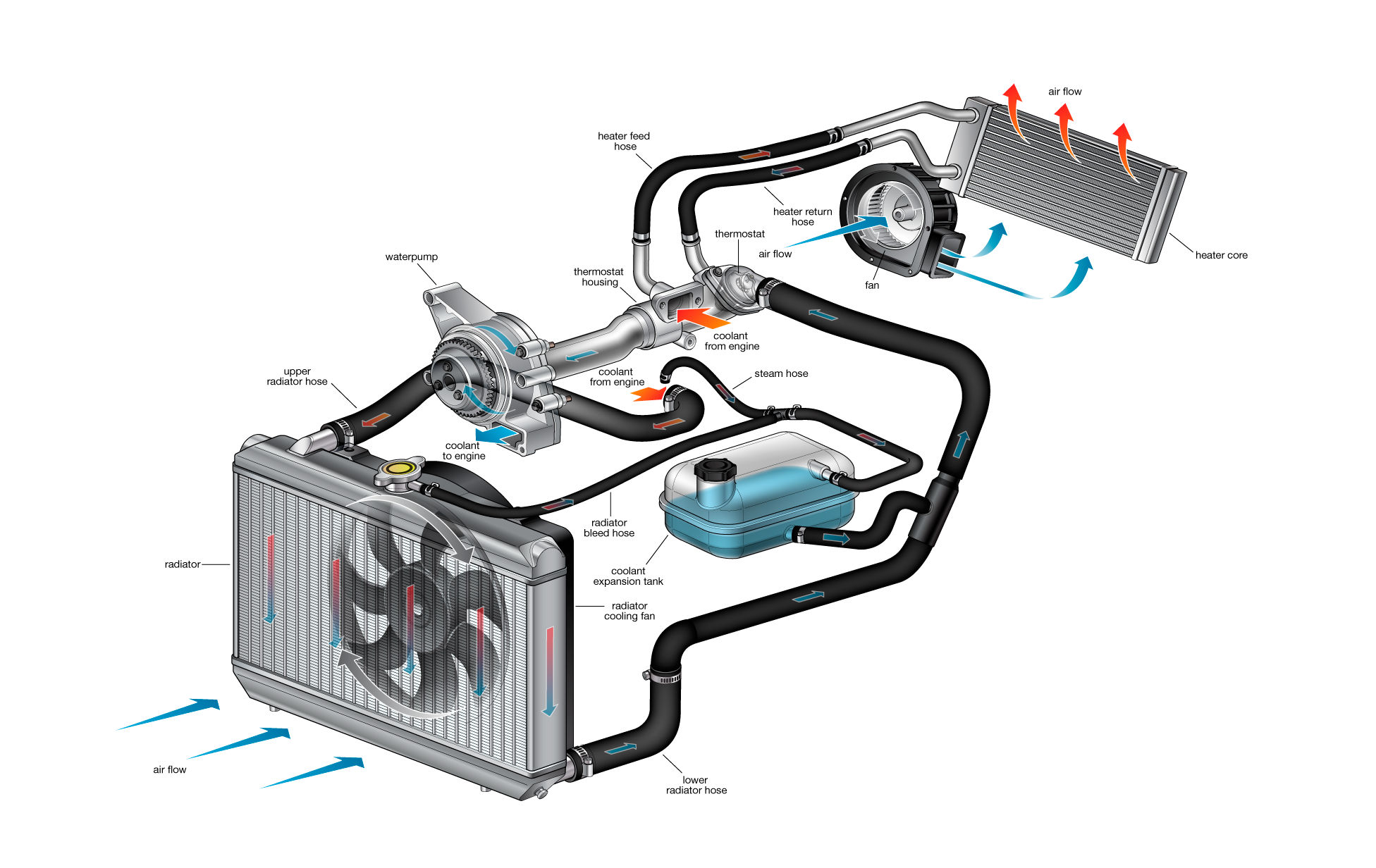 Bmw Engine Cooling System Diagram